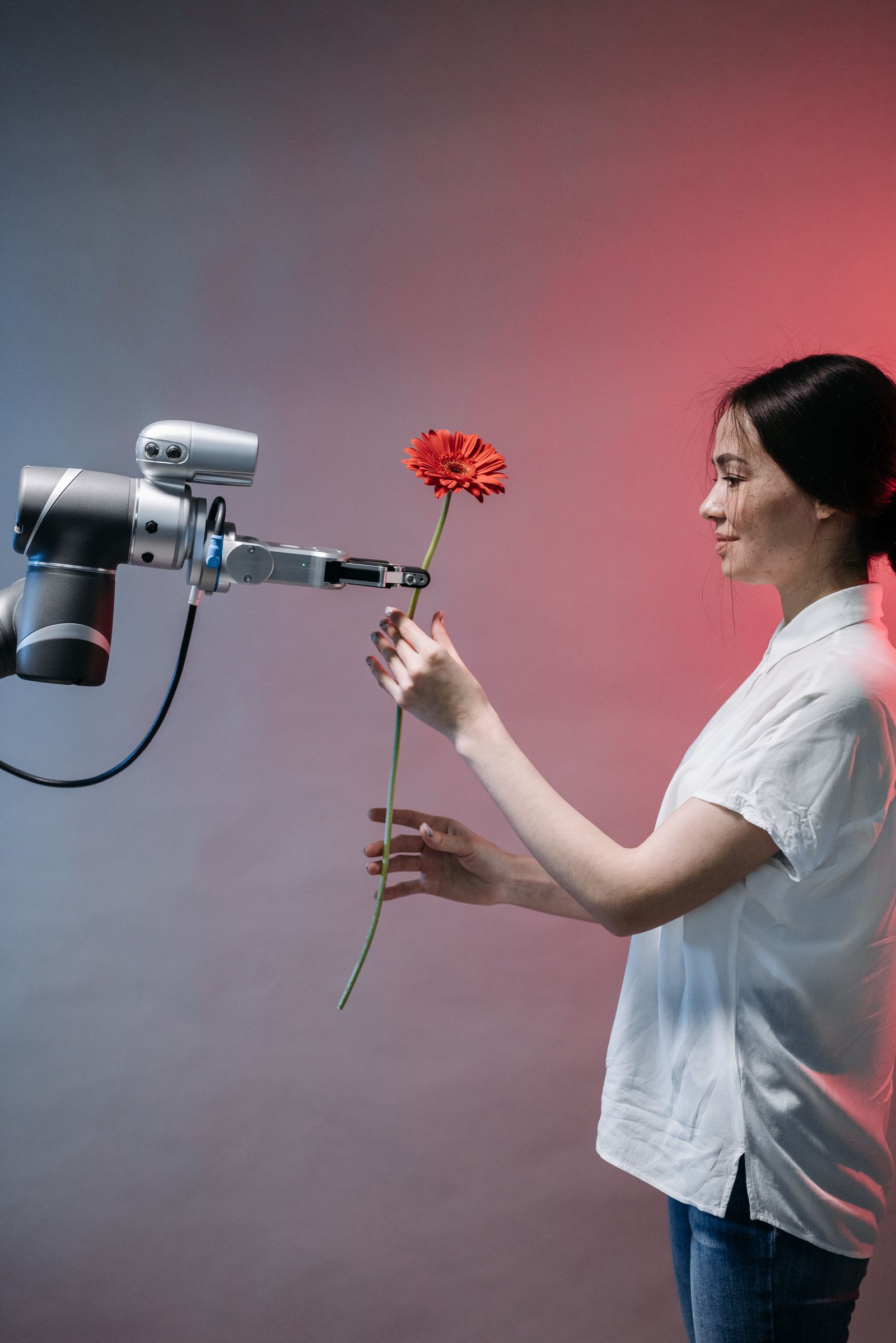 A robot hand gently holding a flower, symbolizing the tension between tool status and anthropomorphism.